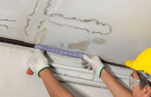 Reliable Water Damage contractor in Nunda, SD by Water Damage Irwin
